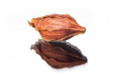 重生之我在老美当警察：《警区》试玩版即将亮相10月14日的Steam 新品节